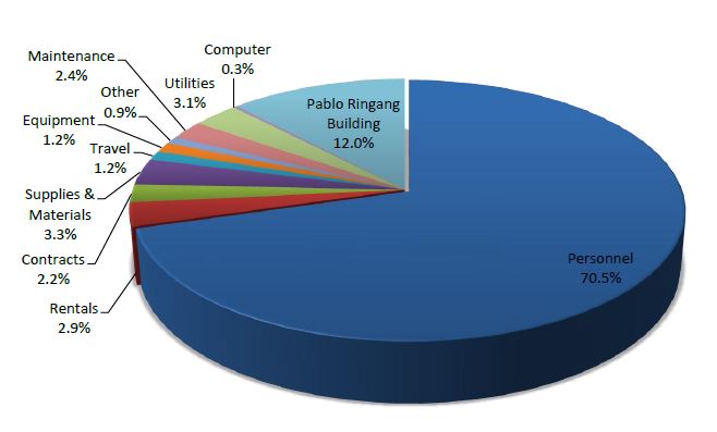 annual budget graph