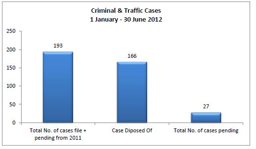graph of criminal and traffic cases for eua court